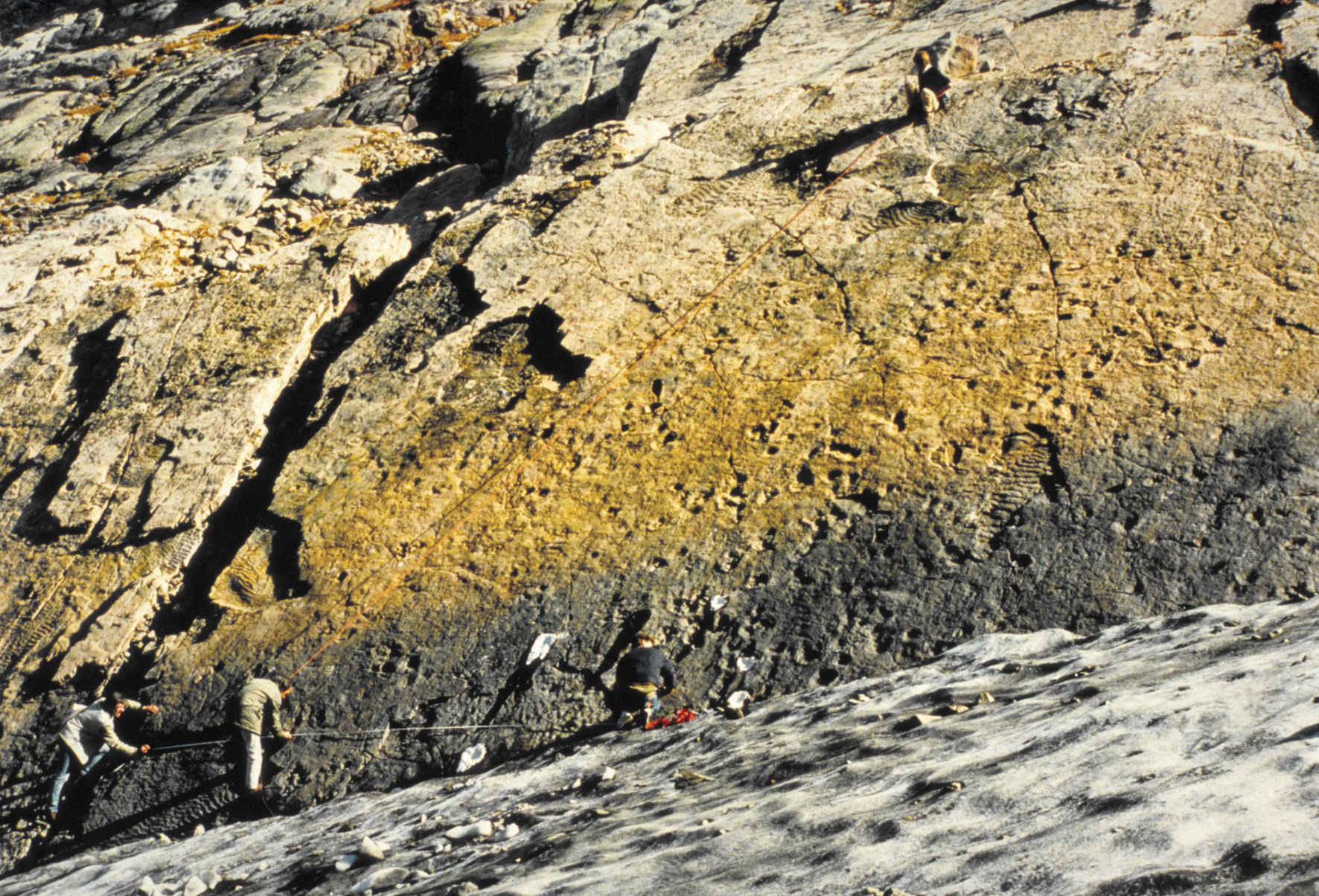 Traces de fossiles exploration des empreintes anciennes de